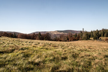 Fototapeta premium Hala Srubita in autumn Beskid Zywiecki mountains in Poland
