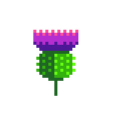 Thistle. Pixel art. Flower of Scotland.  Stickers design. Isolated vector illustration. 