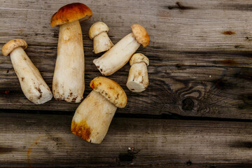 Freshly picked porcini mushrooms on rustic wooden table. Top view
