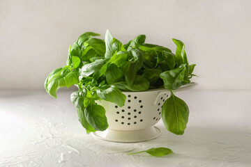 Colander with fresh basil leaves on light background