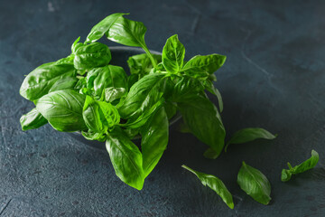 Bowl with fresh basil leaves on dark background