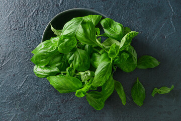 Bowl with fresh basil leaves on dark background
