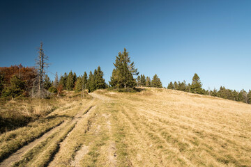 Fototapeta premium Hala na Malej Raczy in autumn Beskid Zywiecki mountains on polish - slovakian borders