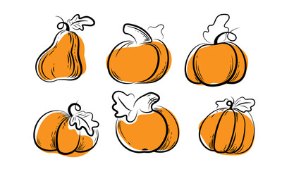 Set vector graphic pumpkin with orange free spots. Pumpkin on Halloween day or Harvest festival. Food sketch illustration. 