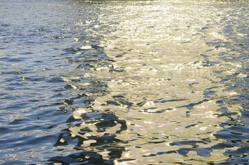 水面の煌めき