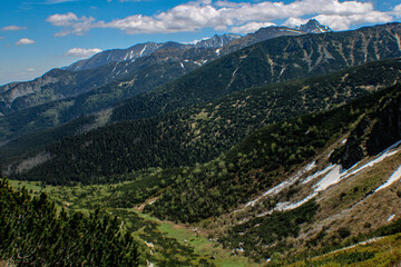 Naklejka premium landscape in summer