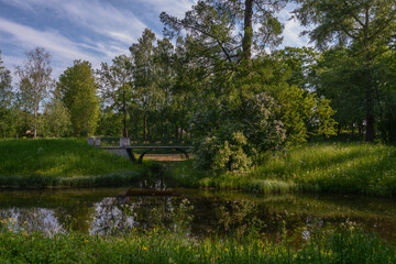 Fototapeta na wymiar View of the bridge over the Upper Ponds on a creaking gazebo in the bushes of blooming lilac in Catherine Park in Tsarskoye Selo on a sunny summer evening. Pushkin, St. Petersburg. Russia.