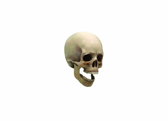human skull isolated on white