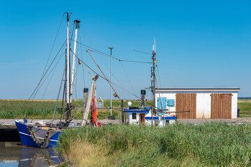 Shrimp cutter in the harbour of Spieka