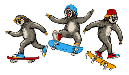 skating sloths illustration in different poses - obrazy, fototapety, plakaty