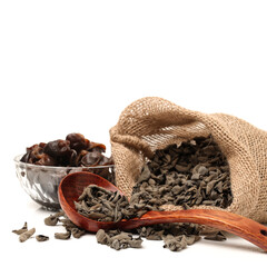 black fungus on white background