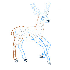 Deer isolated. Brown sketch. Reindeer, stag.
