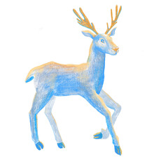 Deer Isolated. Blue sketch. Reindeer, Stag.