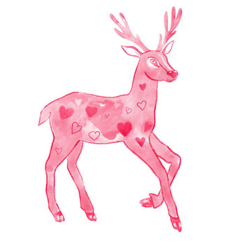 Deer Isolated. Pink. Reindeer, Stag.