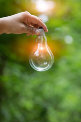 Light bulb Energy saving green nature background