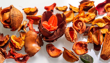 Dry orange flowers and petals on a white background. 
