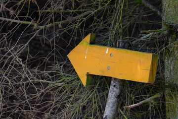 A wooden arrow on a stick indicates the direction of a path in a dark forest