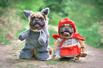 Pair of French Bulldog dogs dressed up as fairytale characters Little Red Riding Hood and Big Bad...
