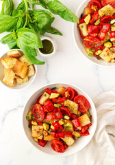 fresh italian summer salad panzanella
