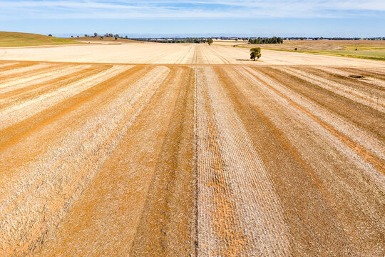 Aerial view of lines of drying stubble on rural farmland
