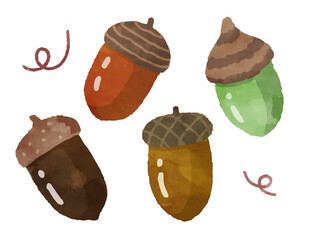 どんぐりの水彩イラスト © ayumi