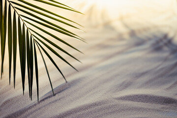 Golden sunset on ocean tropical beach with white sand and  palm leaf in sunlight with dark blue shadows. Summer paradise on coast background.