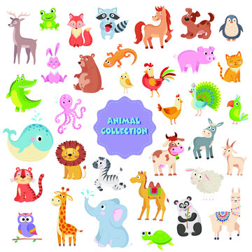 Big collection of cute vector animals on white background