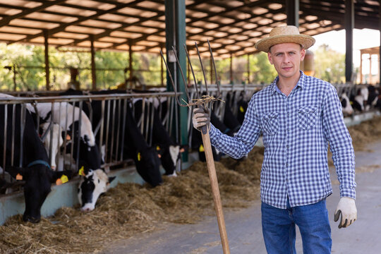 Portrait of confident successful european male farmer posing in cowshed