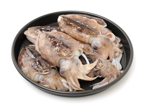 Raw cuttlefish on white background.