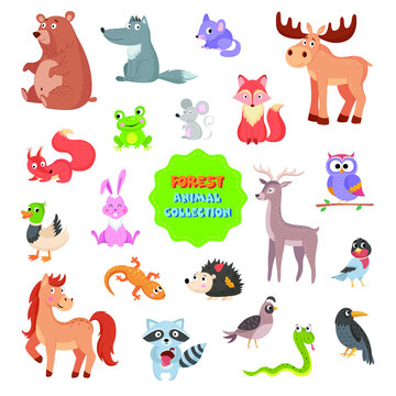 forest animals collection vector illustration on white background