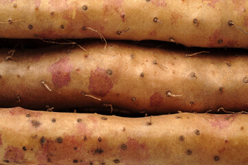 Chinese yam on white background