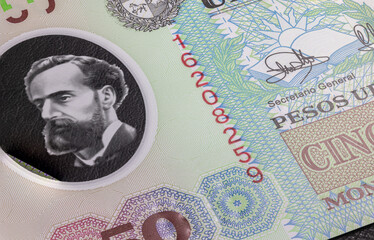 Close up to Uruguayan peso of the Republic of Uruguay. Polymer banknotes of South American country. Detailed capture of the front art design. Detailed money background wallpaper. Currency banknotes