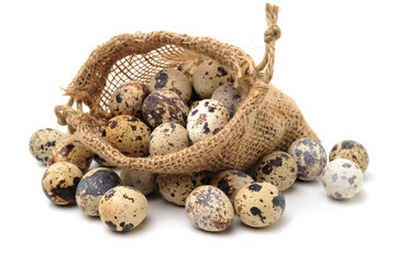 quail eggs on white background 