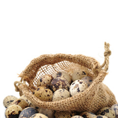 Obraz premium quail eggs on white background 
