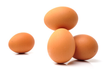 eggs on a white background