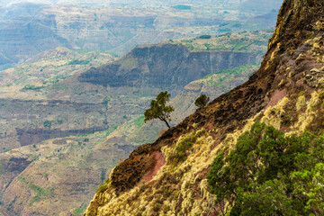 Fototapeta na wymiar Ethiopian landscape, Ethiopia, Africa wilderness