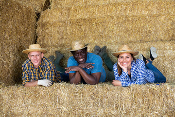 Naklejka na ściany i meble Portrait of multiracial group of positive farmers resting on straw stack after work at farm