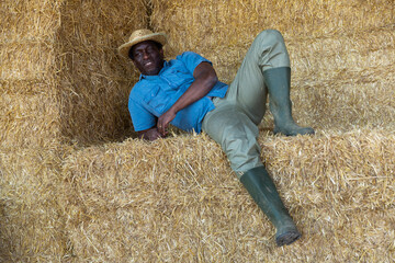 Naklejka na ściany i meble African american farm owner posing in the barn against the backdrop of hay bales