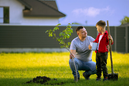  father and son planting tree father holding the shovel and son holding bucket of water and tree at front of house, nice sunny day, father and son work together, Planting a family tree. 