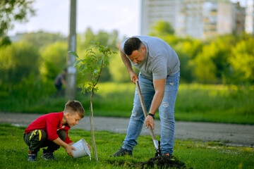 Naklejka na ściany i meble father and son planting tree father holding the shovel and son holding bucket of water and tree at front of house, nice sunny day, father and son work together, Planting a family tree. 