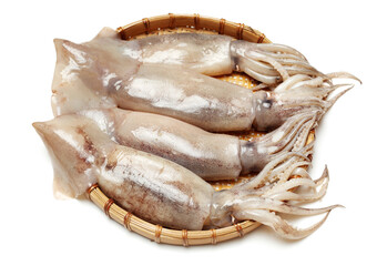 Fresh squid isolated on white background 