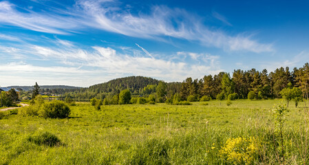 Fototapeta na wymiar beautiful panorama rural landscape illuminated by the sun. yellow flowers blooming in the springfield. wildflowers. summer panoramic view. landscape of meadow in front of the forest.