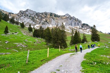 View on alps mountains, cloudy sky, green fields by Jaun,  kanton Fribourg, Freiburg nearby Bulle,...