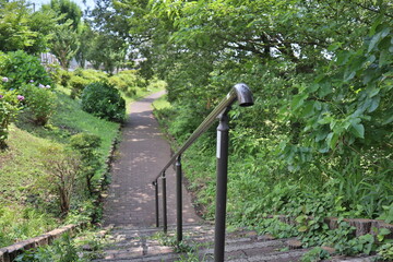 water well in the garden