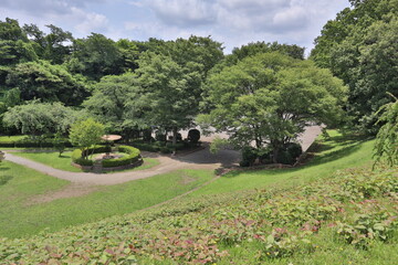 Naklejka premium rice field in island