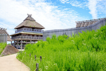 Fototapeta premium 初夏の吉野ヶ里遺跡 佐賀県神埼郡 Yoshinogari ruins in early summer Saga-ken Kanzaki-gun