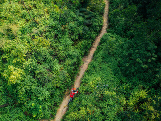 Aerial view of cross country biking woman cyclist riding mountain bike on tropical rainforest trail