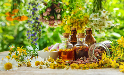 Tincture of medicinal herbs in bottles. Selective focus.