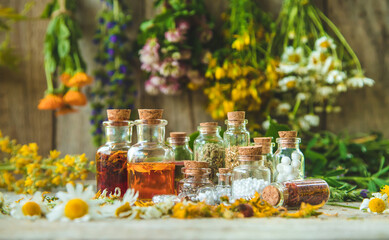 Tincture of medicinal herbs in bottles. Selective focus.