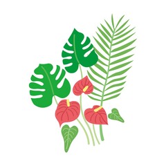 夏の観葉植物モンステラ　アンスリウム - obrazy, fototapety, plakaty